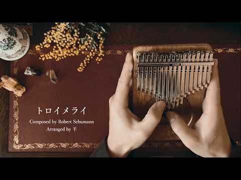 Träumerei - Robert Schumann