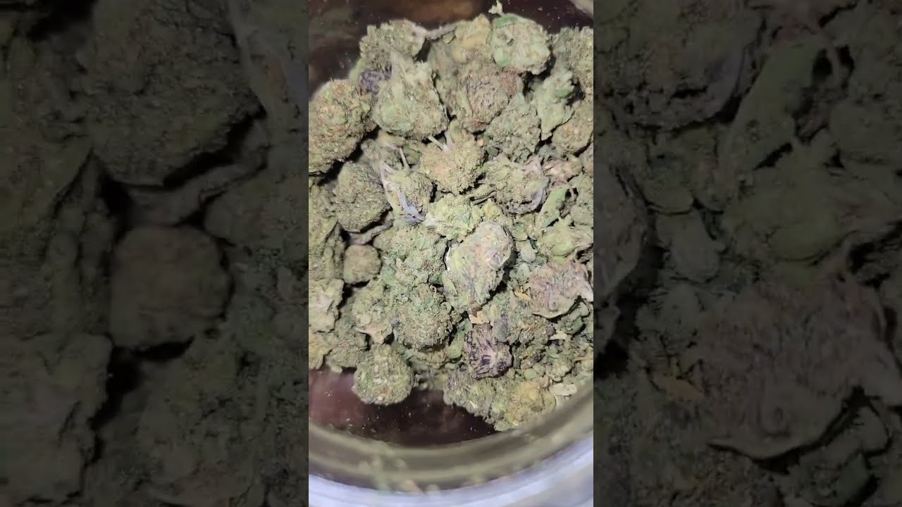 TANGERINE DREAM TRIM AT THCA KING 20 DOLLAR OUNCES