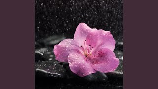 Serene Concentrated Rain Harmony