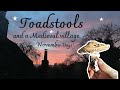 Toadstools and a medieval village artistslow livingengland