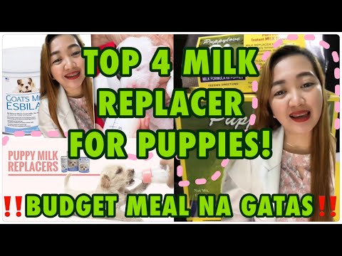 TOP 4 BUDGET FRIENDLY MILK REPLACER FOR PUPPIES | MGA MURANG GATAS-BUDGET MEAL PARA SA ASO!