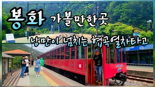 #시골일상tv ❤️경북 봉화 가볼만한곳 ❤️ 5윌의 산타마을 ❤️ 협곡열차타고 백두대간 분천역 태백 철암역 구간 오지여행 2023.5.20