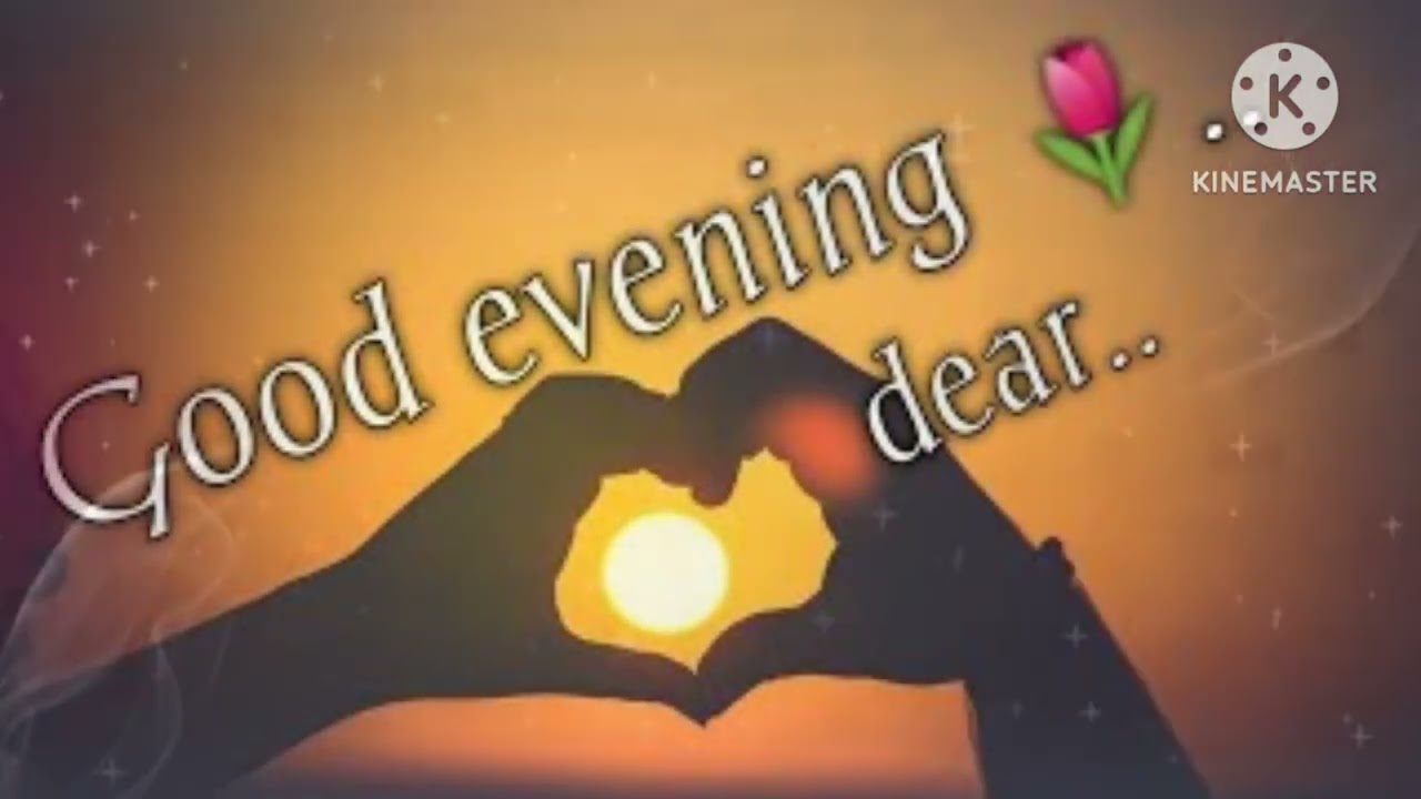 Good evening status ❤️ What's app status ❤️ good evening all friends ❤️