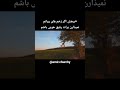 أمات الحب عش اقا و حب ک أنت أحیانی عشق چه بسیارعاشقان رابه کشتن دادحال آنکه عشق تو مرازنده کرد 