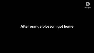 Orange Blossom Grounds Shimmer And Shine And Gets Grounded For Alex Loves Kernel Swift