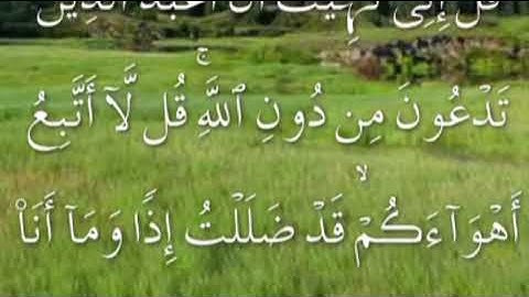 سورة الانعام صفحة ١٣٤ مكتوبة مكررة بصوت سعد الغامدي