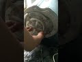 paano ayusin ang sharp washing machine na sira ang motor,timer at bearing case