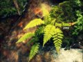 Deep forest  full album  1992  the first album