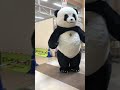 巨大 ジャイアント パンダ 着ぐるみ ウォーキングショー 1