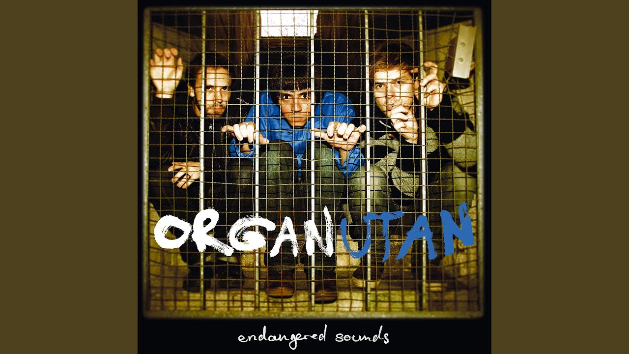 Watch Bounce Utan, Bounce on YouTube Watch Bounce Utan, Bounce on YouTube