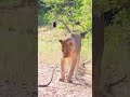 @PoriQuestSafaris