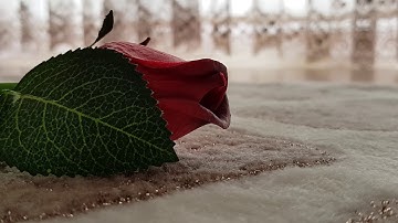 سورة النور ( ٣٥ - ٣٨ )