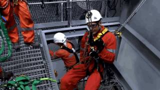 Vertech Netting Demo
