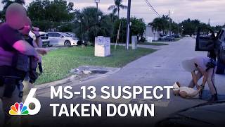 Video shows ICE taking down suspect MS-13 gang member in Florida