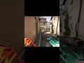 nutty shot 159