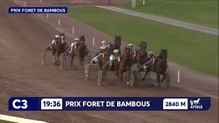 Vidéo de la course PMU PRIX FORET DE BAMBOUS