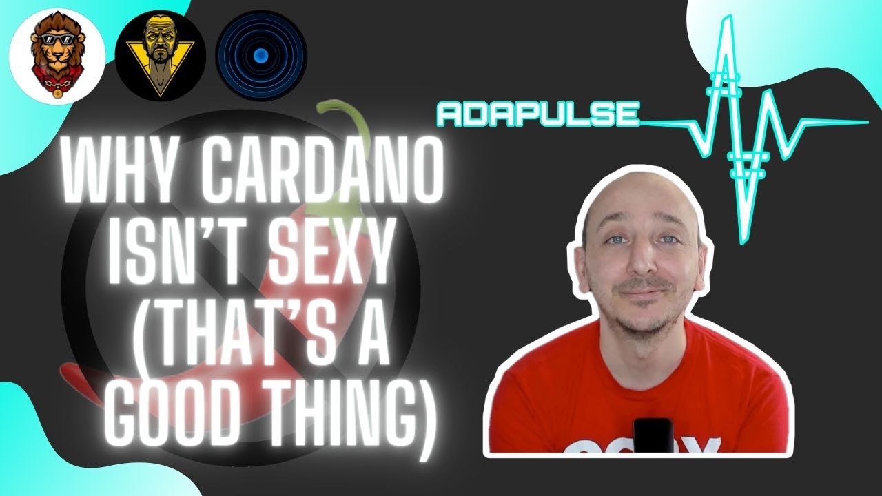 AdaPulse News - Why Cardano Isn't Sexy (That's a Good Thing).  Don't fall for flashy investments