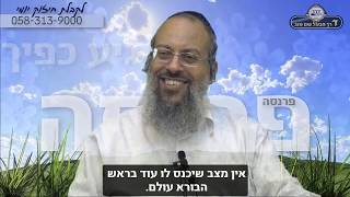 השתדלות הפרנסה | יגיעת כפיים | יגיעת מחשבה