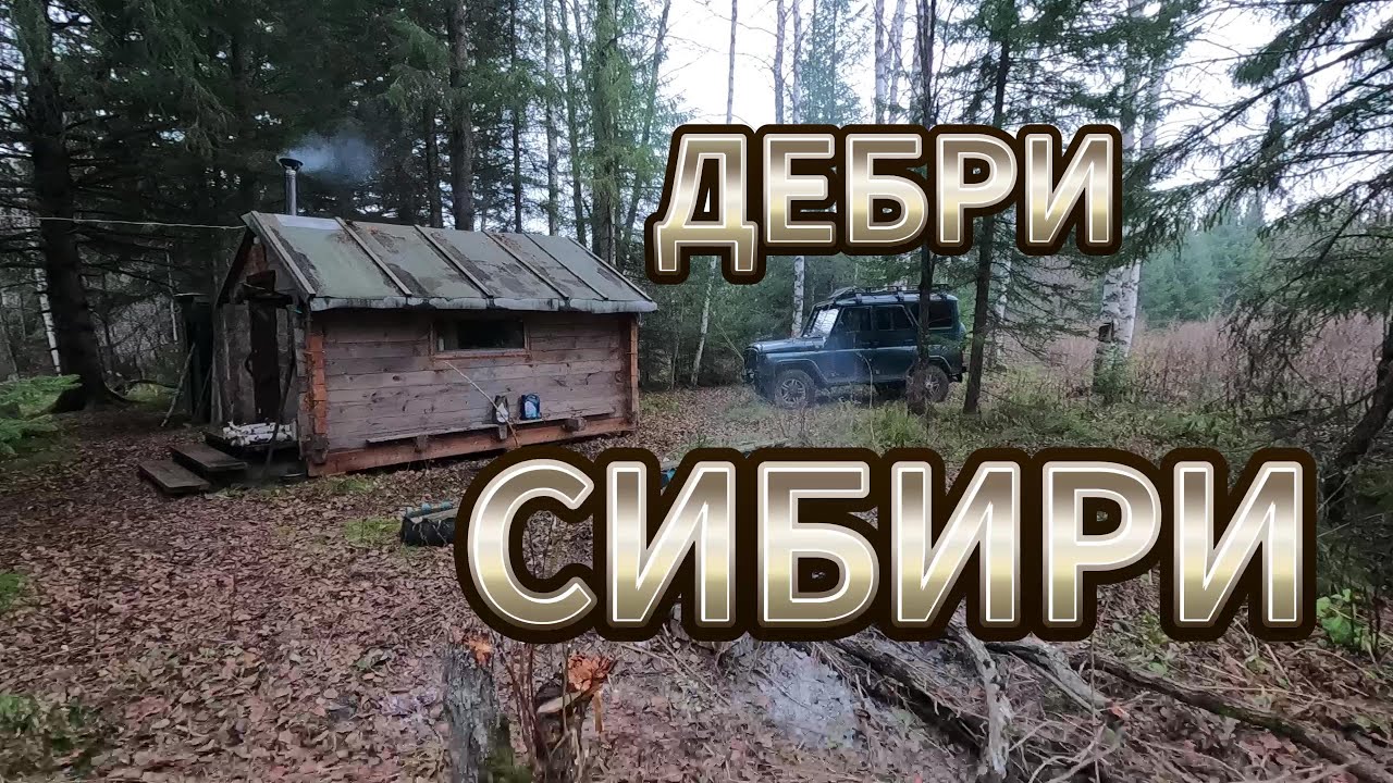 ЗАЕЗД В ТАЙГУ РАЗВЕДКА СТАРЫХ УГОДИЙ
