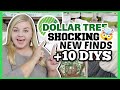 *NEW* Shocking DOLLAR TREE ITEMS + HOW I USE THEM!?! | 10 Dollar Tree DIYS | Krafts by Katelyn