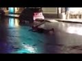 Drunk dude tries to swim on flooded street