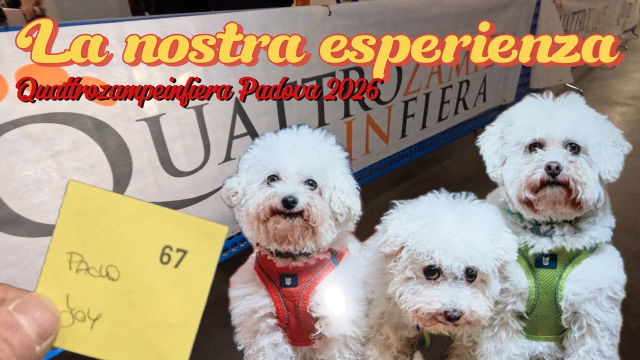 Quattrozampeinfiera Padova 🐾 | Novità, stand e la nostra esperienza con i cani