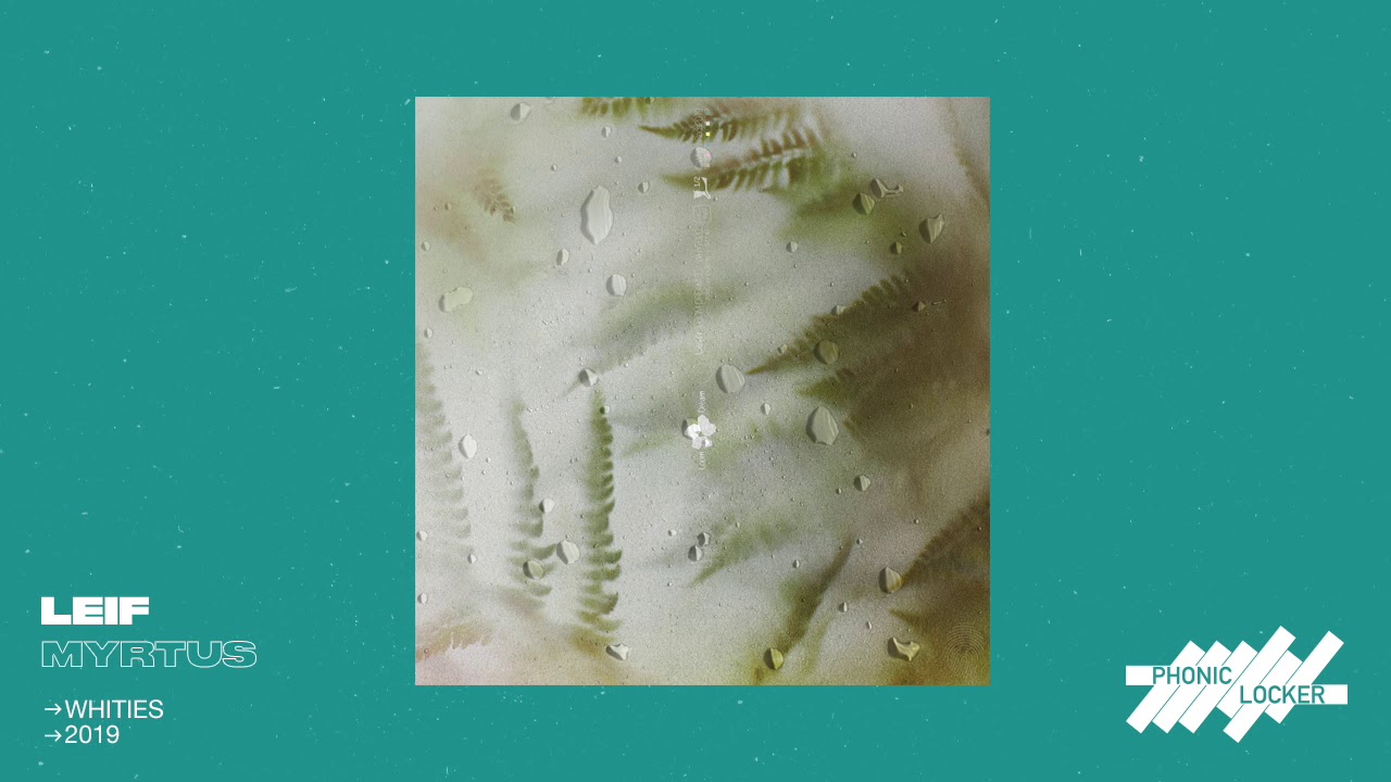 Guarda Leif - Myrtus su YouTube Guarda Leif - Myrtus su YouTube