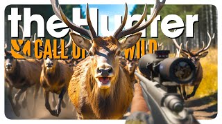 COTW but I can ONLY HUNT from the ROAD | theHunter: Call of the Wild [Hirschfelden]