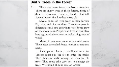 Unit 5 - Trees in the forest -- Listening Practice Through Dictation 1