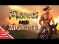 Manes and muscles the enigmatic allure of shirtless stallion riders