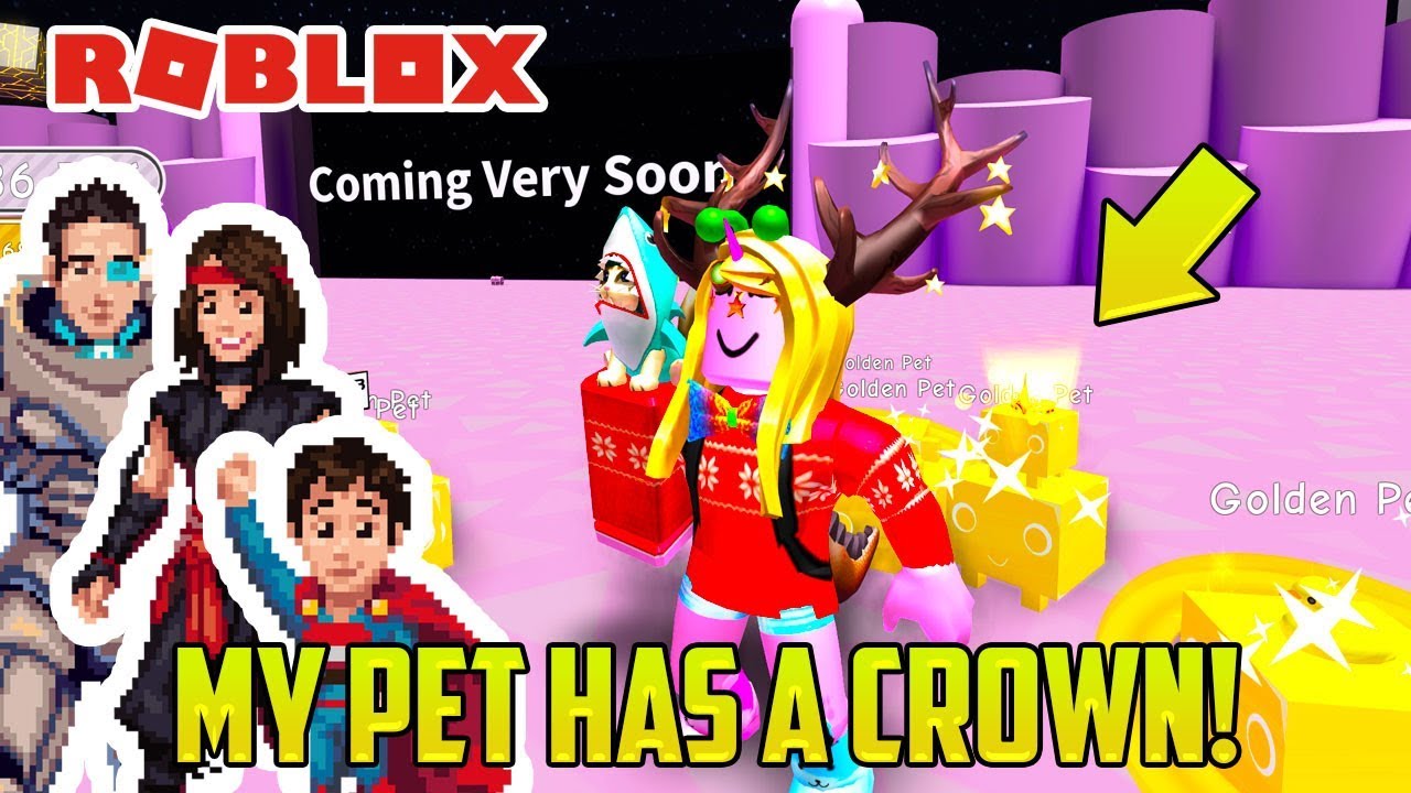 OUR PETS HAVE HATS (Roblox Pet Simulator)
