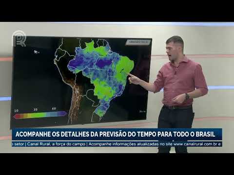 Falta de chuva em Mato Grosso do Sul afeta lavouras de soja e milho do estado | Canal Rural