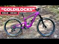 Santa cruz heckler sl review the best of both worlds