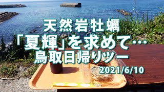 天然岩牡蠣「夏輝」を求めて…鳥取日帰りツーリング