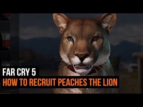 puma far cry 5