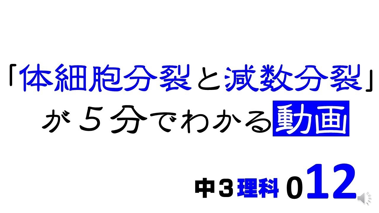 中3理科 体細胞分裂と減数分裂 染色体の数の変化 Pikuu