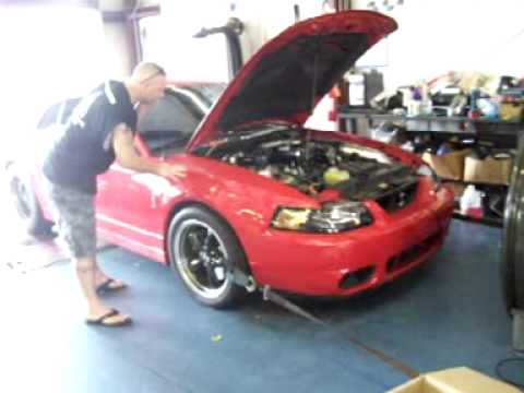 Fastlane Motorsports - Kenne Bell 2.8L Mammoth Supercharged 03 Cobra - Terrell Falls