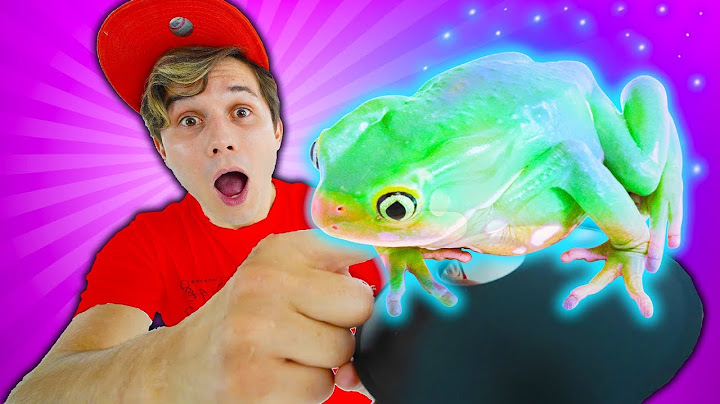 THIS TOY CAN CREATE 3D HOLOGRAMS !!