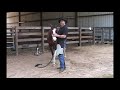 Training your Horse for the Farrier/Trimmer