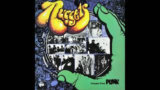 The VAGRANTS – Respect – from NUGGETS Volume Two: PUNK – 1984 – Vinyl