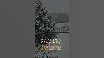 المال والبنون زينة الحياة الدنيا / سورة الكهف/#quran #اكسبلور