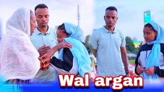 Kiyya fi adada isii wal agarsiisee