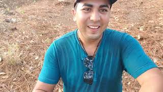 Trip en el bosque histórico La Montañona.