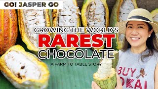 Growing the World's Rarest Cacao in the Philippines | Eunoia Fine Chocolates x Goshen Farms