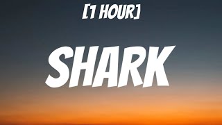 Imagine Dragons - Sharks [1 Hour\/Lyrics]