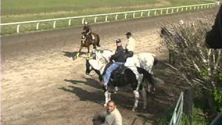 Payson Park Thoroughbred Training Center