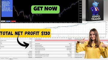 Hippo Trader Pro EA – EURUSD Scalper Expert Advisor for MT4