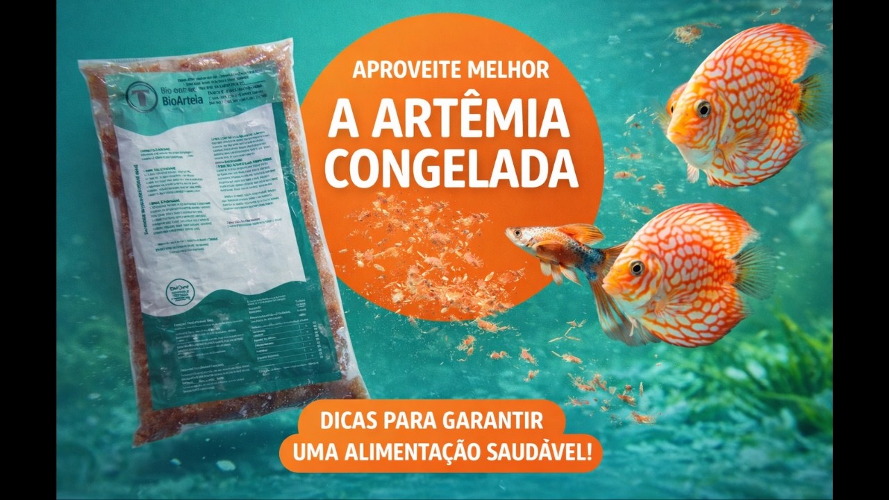 Como Aproveitar Melhor a Artemia Congelada