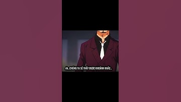 ĐÔI CÁNH VUA HẢI TẶC  #onepiece #sanji #luffy #zoro #anime #animegiaunghe