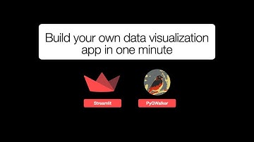 Build your own data visualization app in one min with PyGWalker and Streamlit